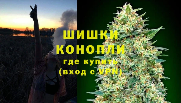 трава Кинешма