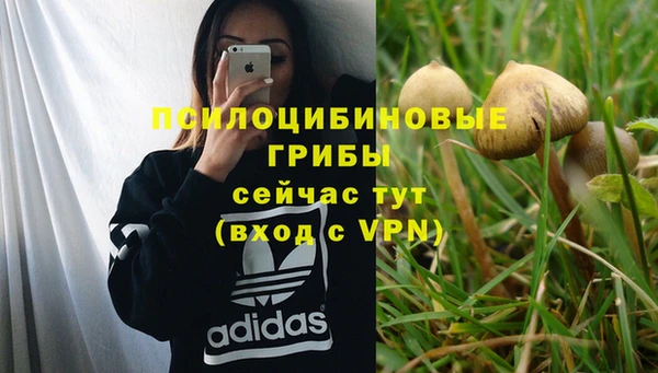 ALPHA PVP Бежецк